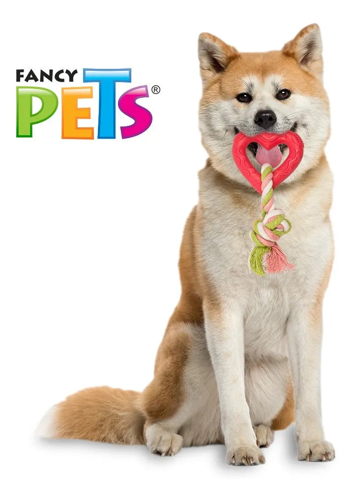 JUGUETE PERRO CAUCHO CON CUERDA CORAZON