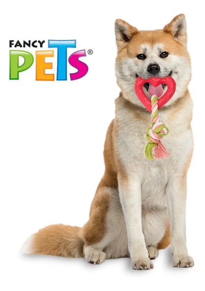 JUGUETE PERRO CAUCHO CON CUERDA CORAZON