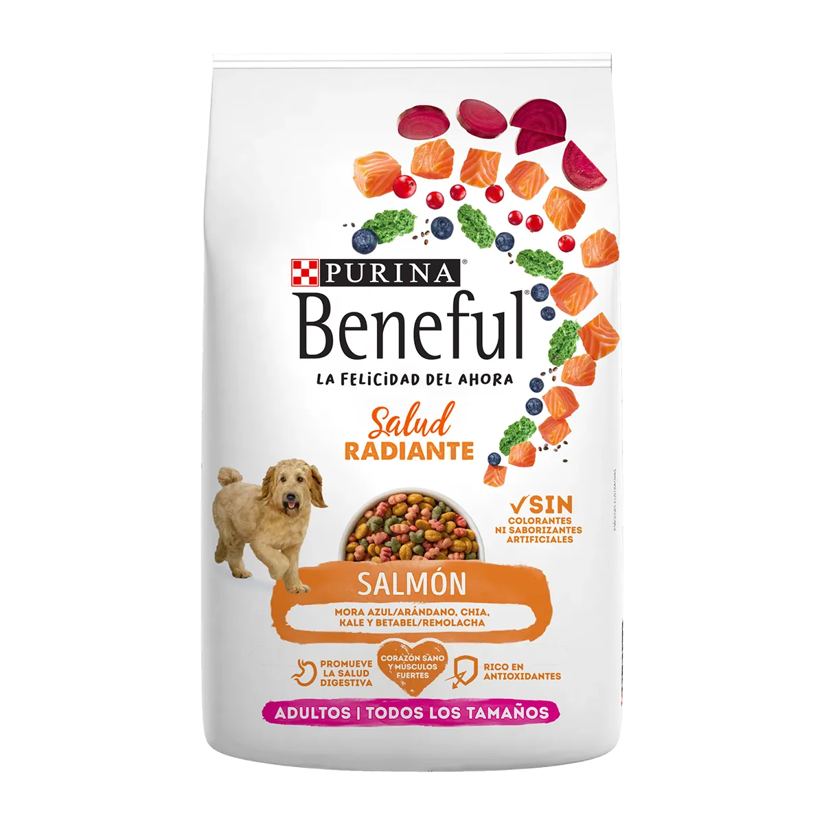 BENEFUL SALMON 10KG