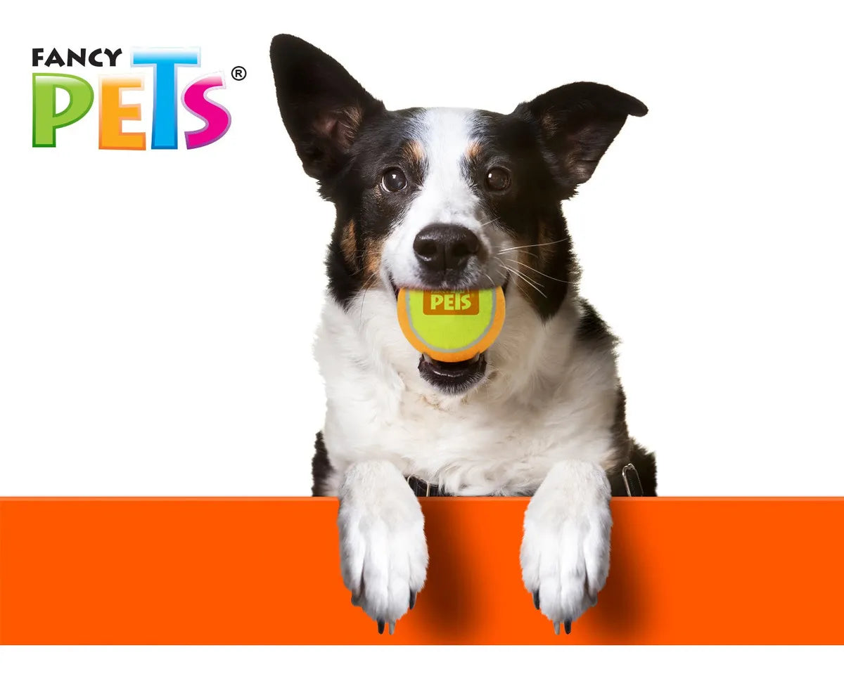 PELOTA PARA PERROS GRANDES ESTILO TENIS - CON SONIDO