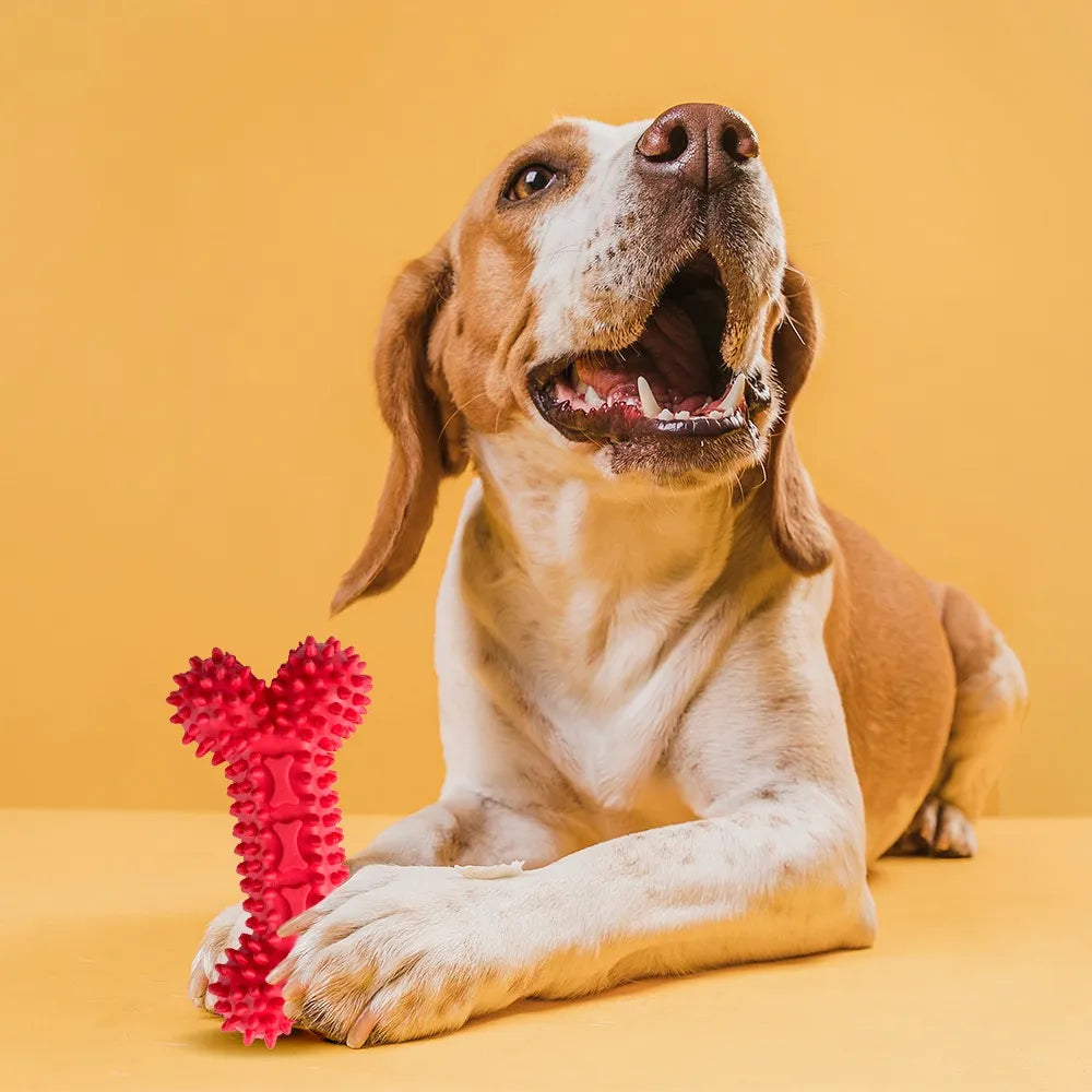 HUESO JUGUETE DE CAUCHO